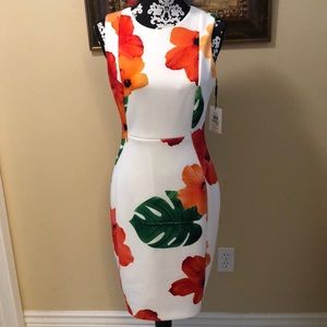 🆕🌺 Calvin Klein Tropical Floral Lined, Back zipper, Sheath dress